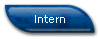 Intern